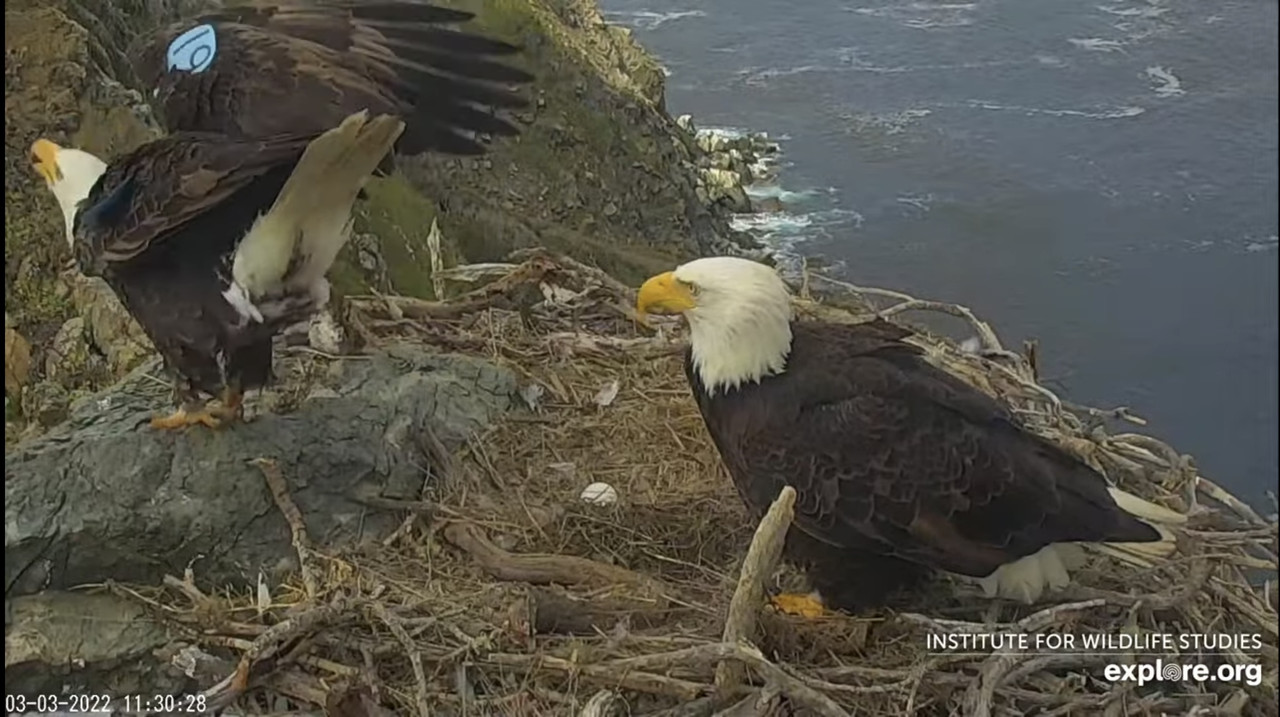 209A1286-75D9-46E1-BBE9-827C0EF5E464