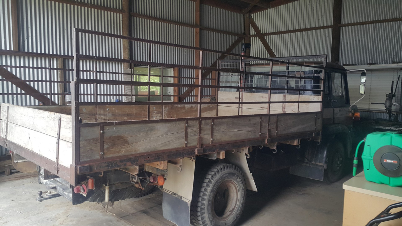 20210109_113017 (Large)