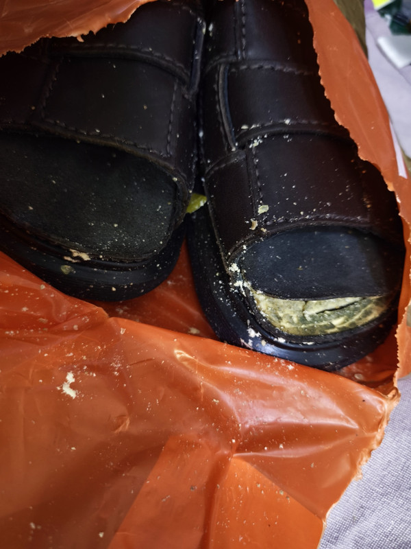 0 02 05 391f58e532cff8d4c141b68887bb76d899623d321c7e78e95c71ad5d40aea0ce 8b53c7f369cfe3ff