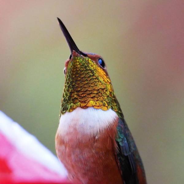 Naturaleza-2