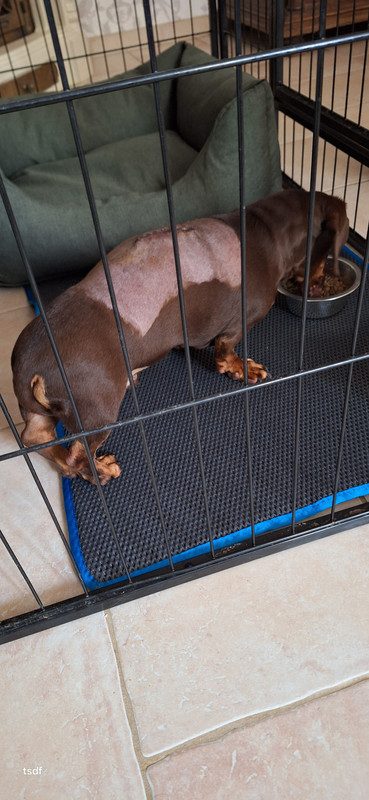 [Image: 20250824-101431.jpg]