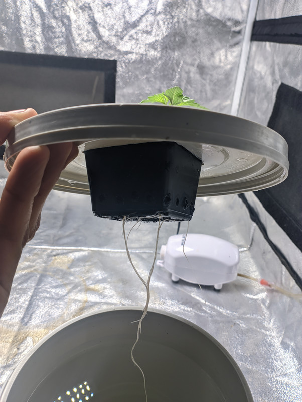 PXL_20230117_000920807