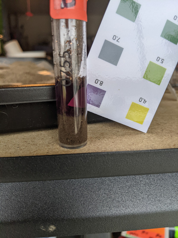 PXL_20210515_143727256