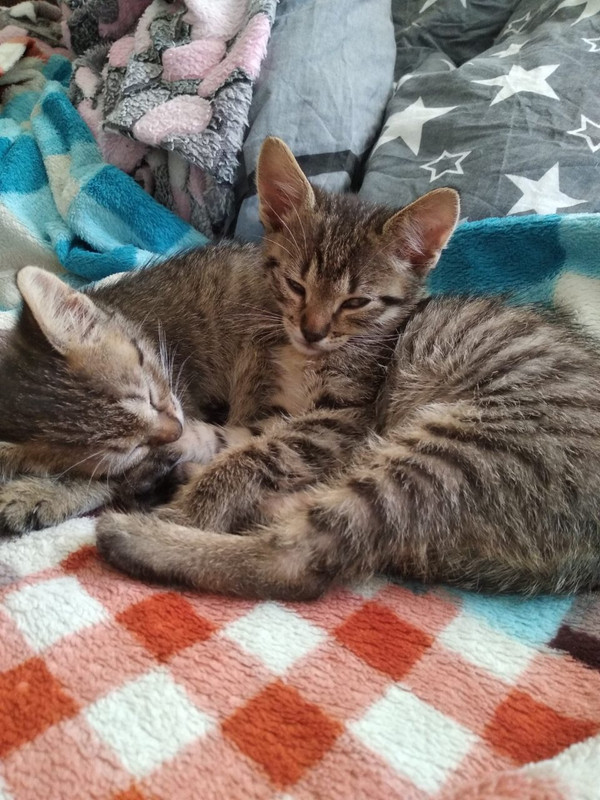 3D87AFEF-5764-4CBE-993C-7BC3E0BBC6CA