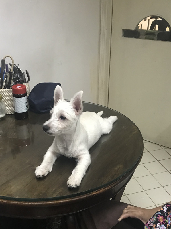 B629DD22-1CA5-405E-B715-CA1954138C49