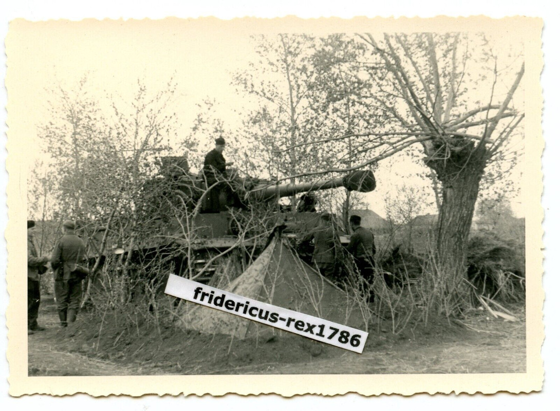 B84 Foto WH s. PzKpfw VI Panzer Tiger in Bereitstellung mit Ästen getarnt Zelt