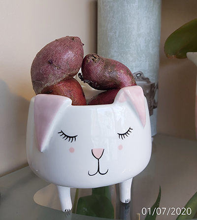 [Image: IMG-20200701-150118.jpg]