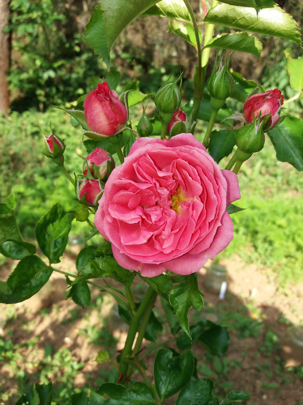 20190615_183035