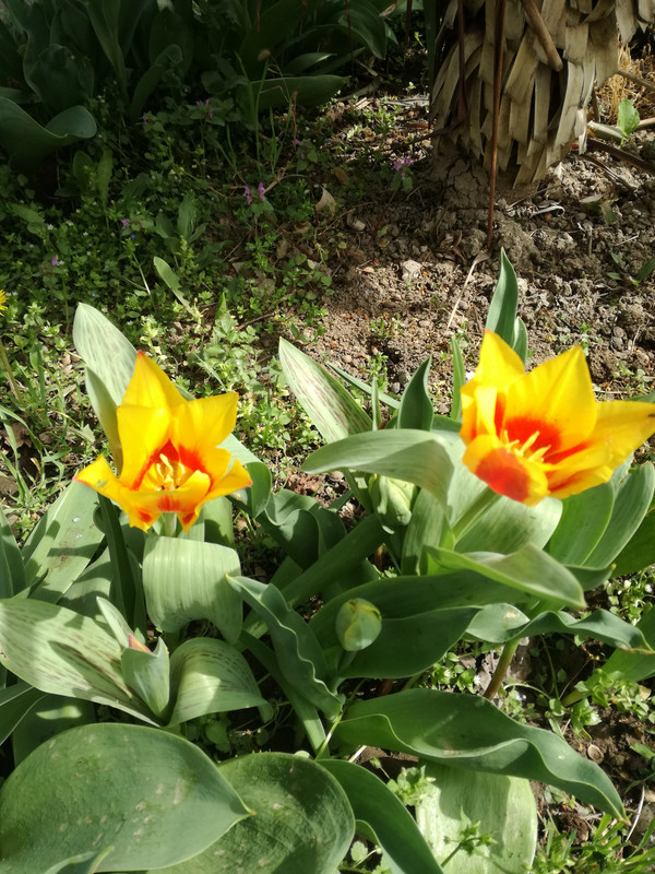 IMG_20220409_151705