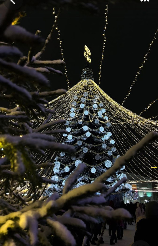 Screenshot_20231217_120115_Pinterest