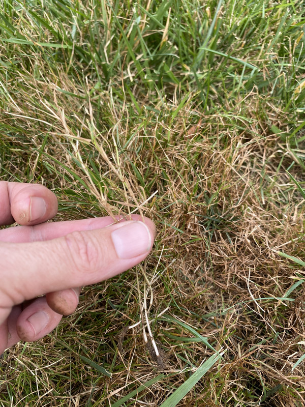 C52EC702-963C-4933-BDAA-1DEB256C362A