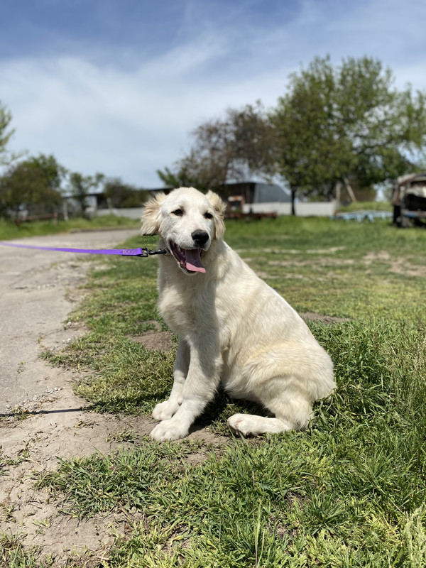 264C6924-6EFE-4C2A-A1FF-9D2BF32D318D