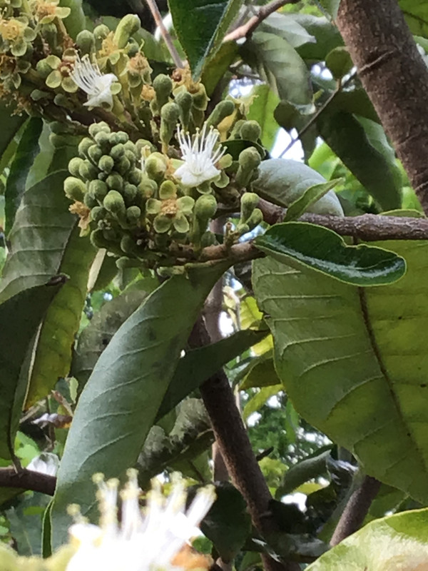 1474A90E-9317-4083-8926-A02861059066