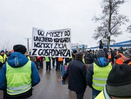 Польские фермеры вышли на общенациональную акцию протеста