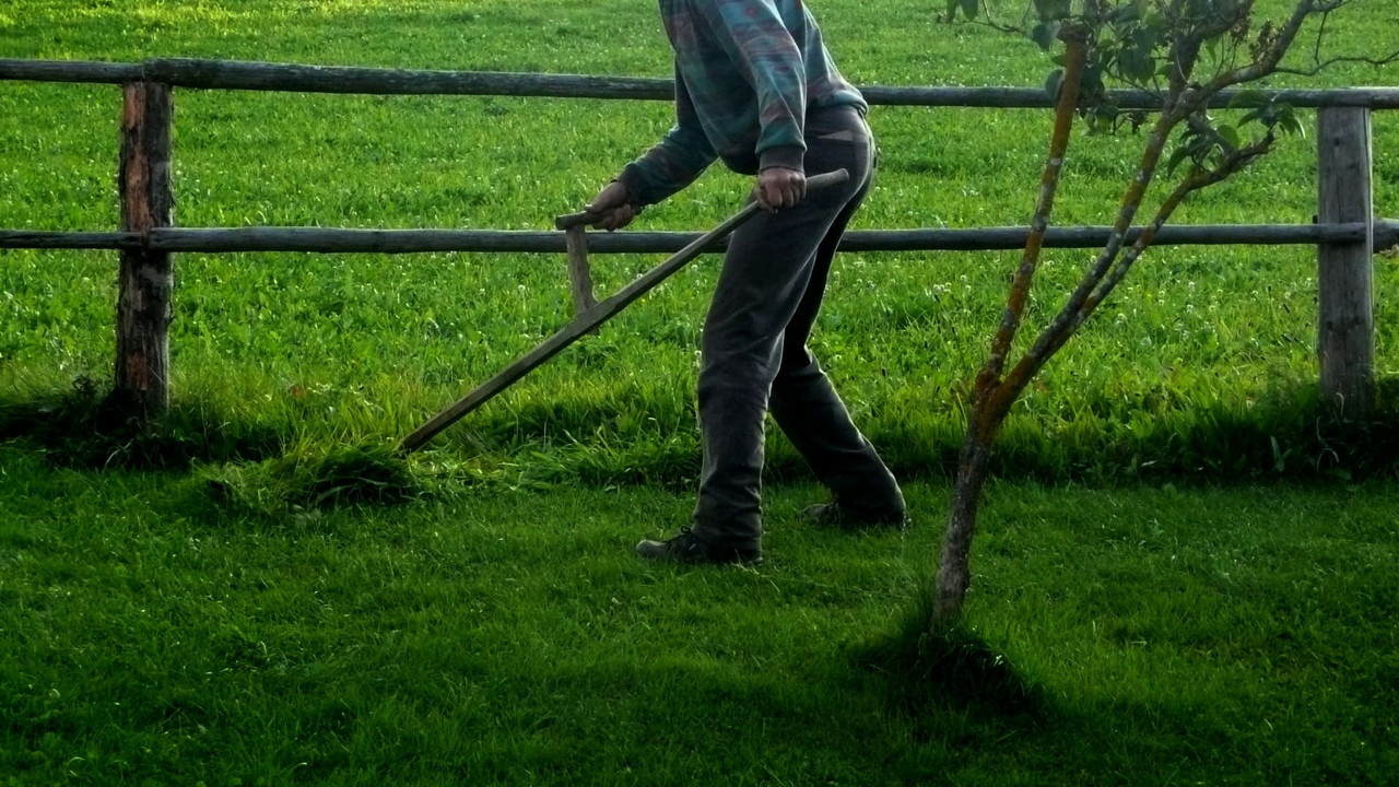 scythe-mow-lawn.jpg