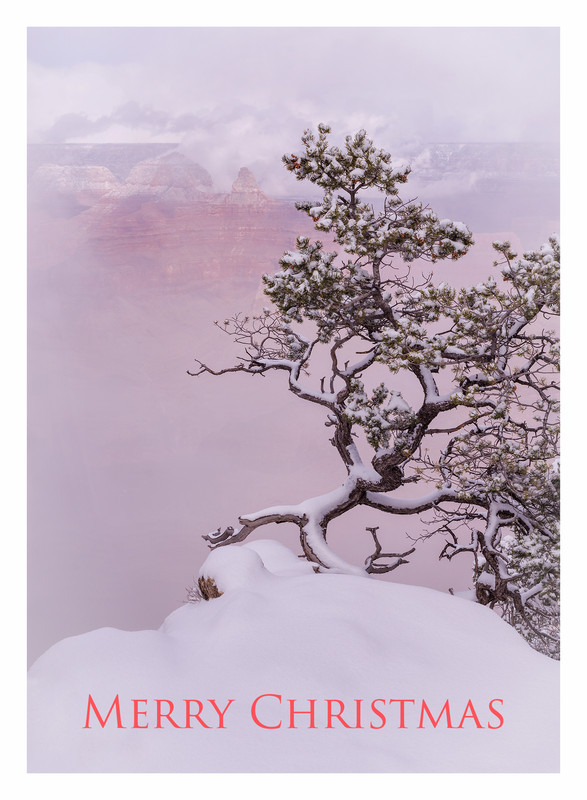 ChristmasEd2-5x7TCMather 2-23-2018_0124