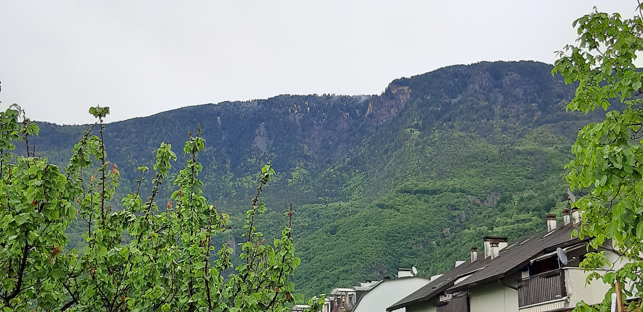 20190512_085123