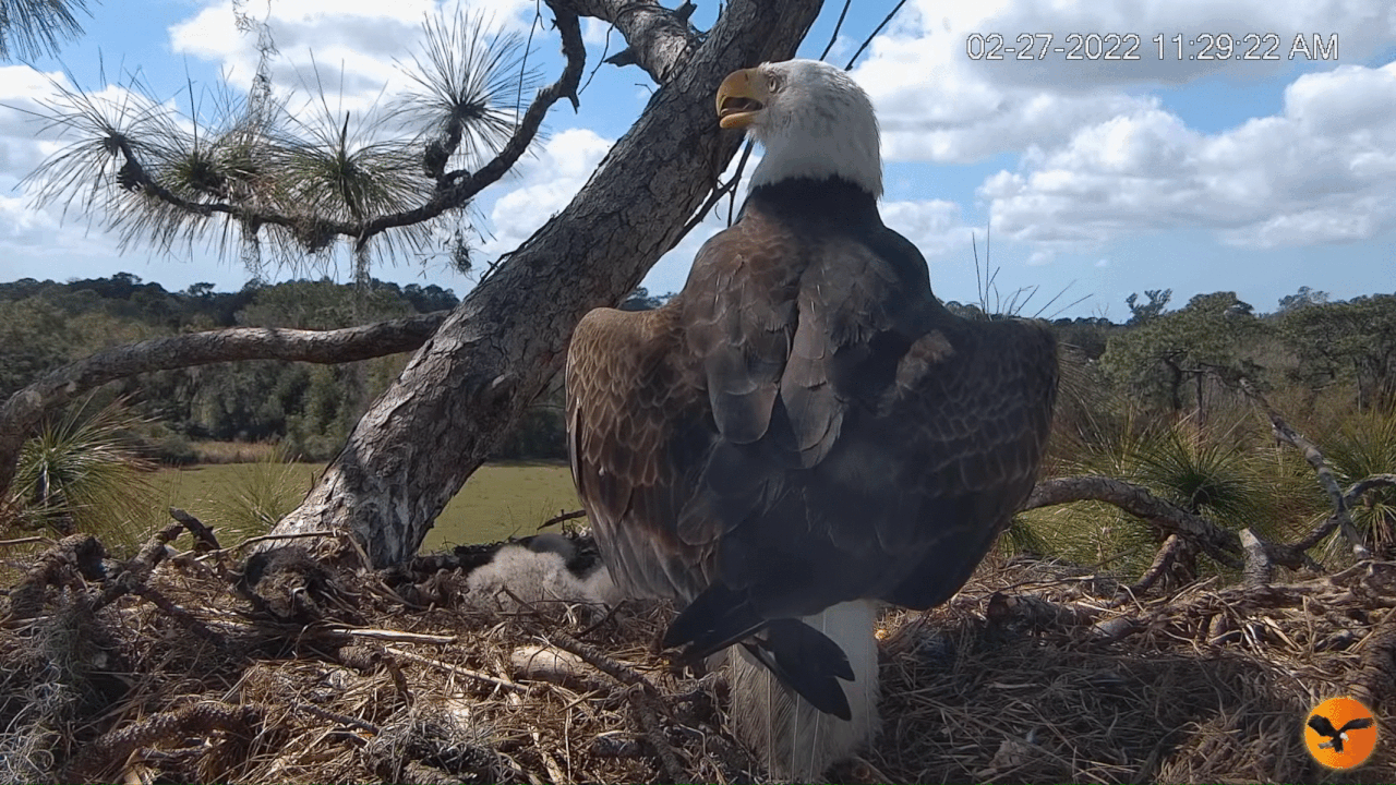 Webp.net-gifmaker (4)