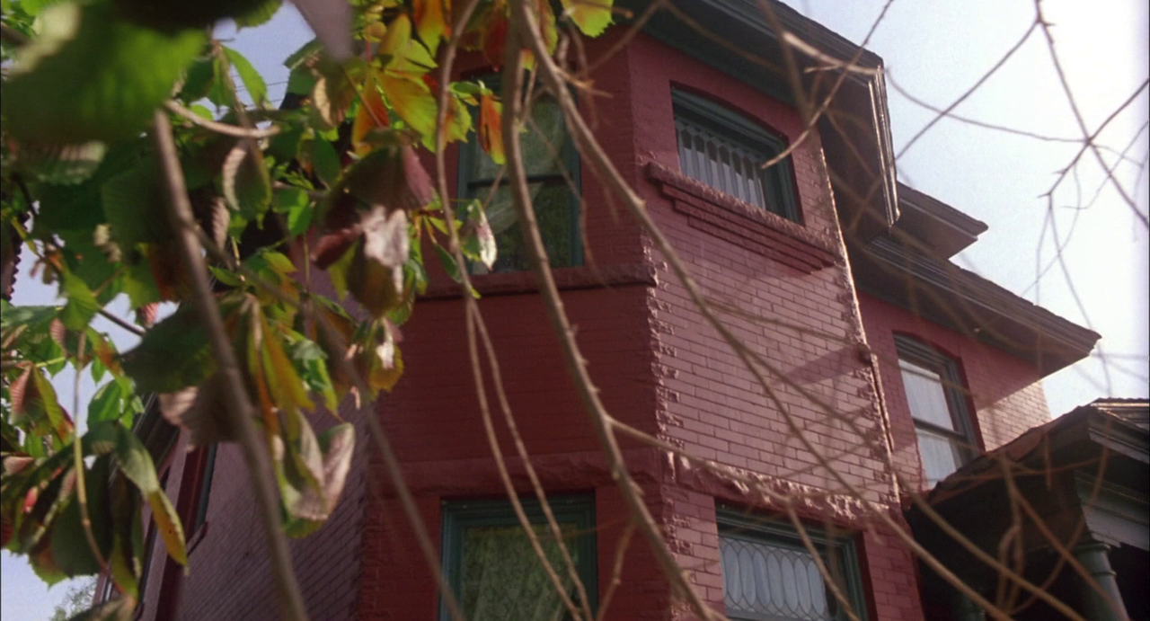 vlcsnap-2024-02-17-20h18m52s887