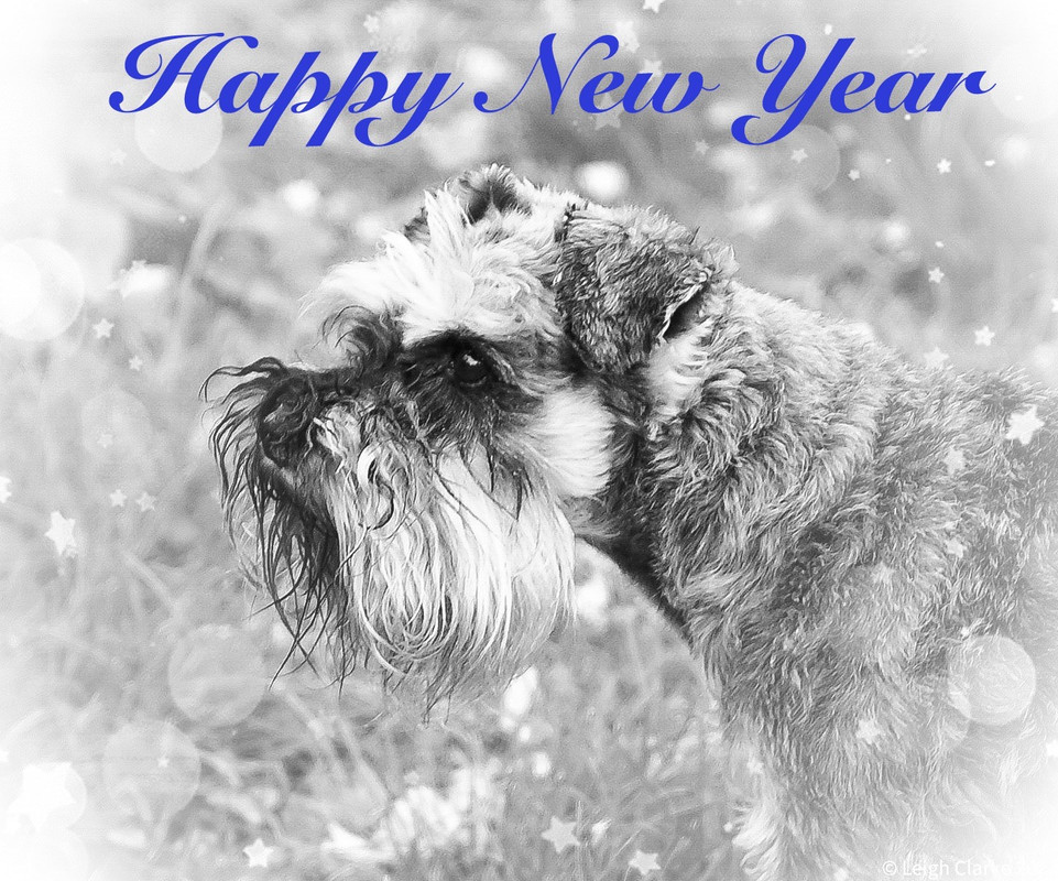 25CB1452-3204-4595-95A0-1DC8ECD4D3CF