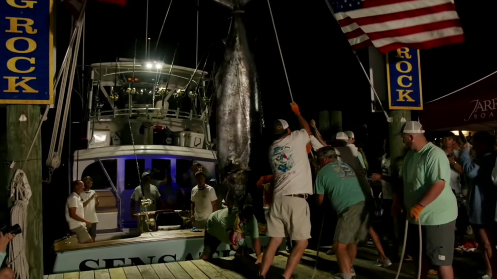 Anglers miss out on $3.5million payday at Big Rock Blue Marlin