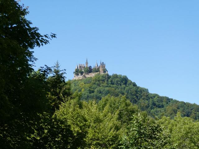 ALSACIA, LAGO CONSTANZA Y SELVA NEGRA - Agosto 2017 - Blogs de Europa Central - Día 7- Castillo de Hohenzollern (14)