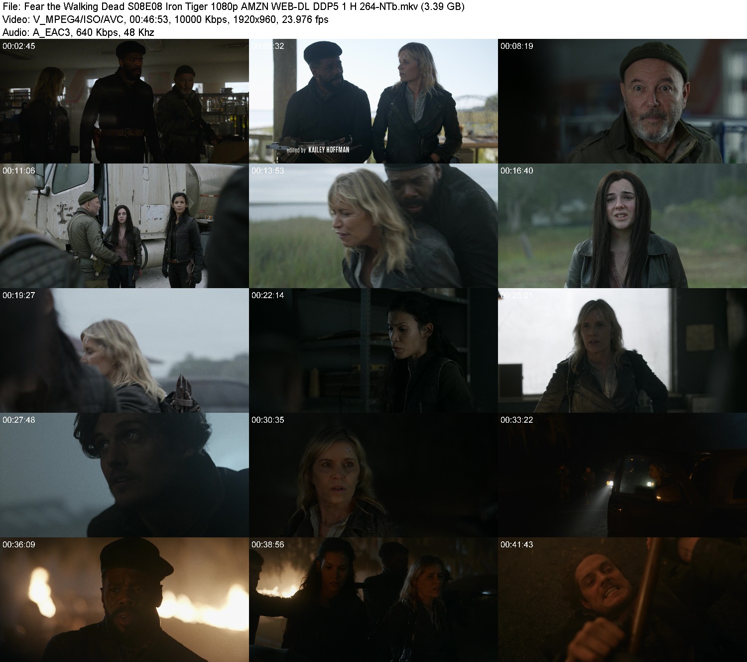 [Image: jl1x00igf7zu.jpg]