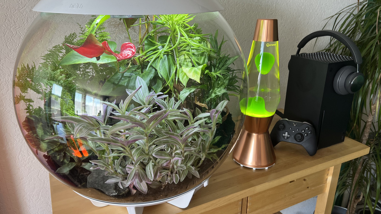 1C2B3492-BA05-465E-AC20-1101EDCD5C8D