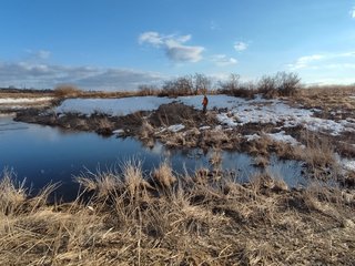 очнев3