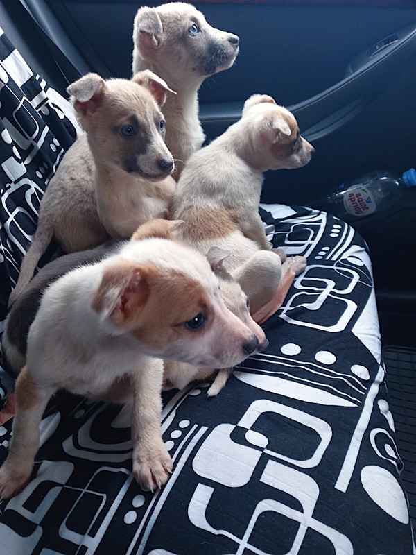 FE215296-1D09-432C-A608-1BB91C05ACA9