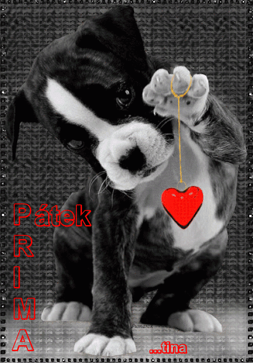 p-tek.gif