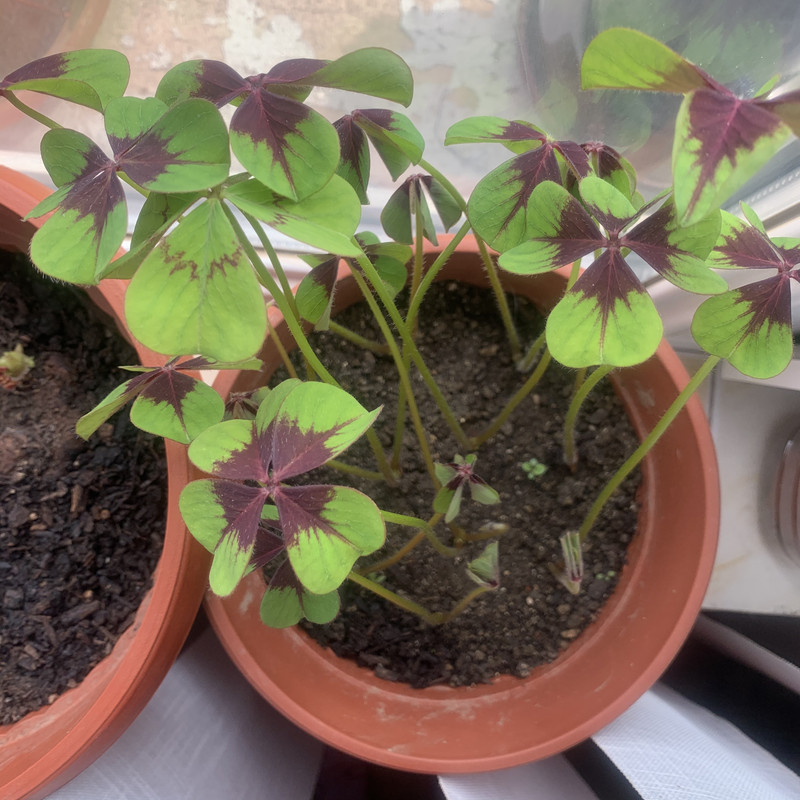 6B8333AD-AC8F-4AEC-9F39-A36154C36598