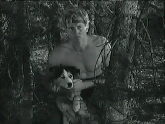 [Image: vutp1n46x8gt.png]