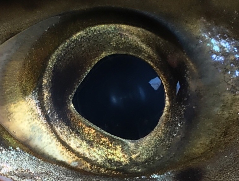 20DC7315-0465-4D13-9C77-F6F80F9BFA47