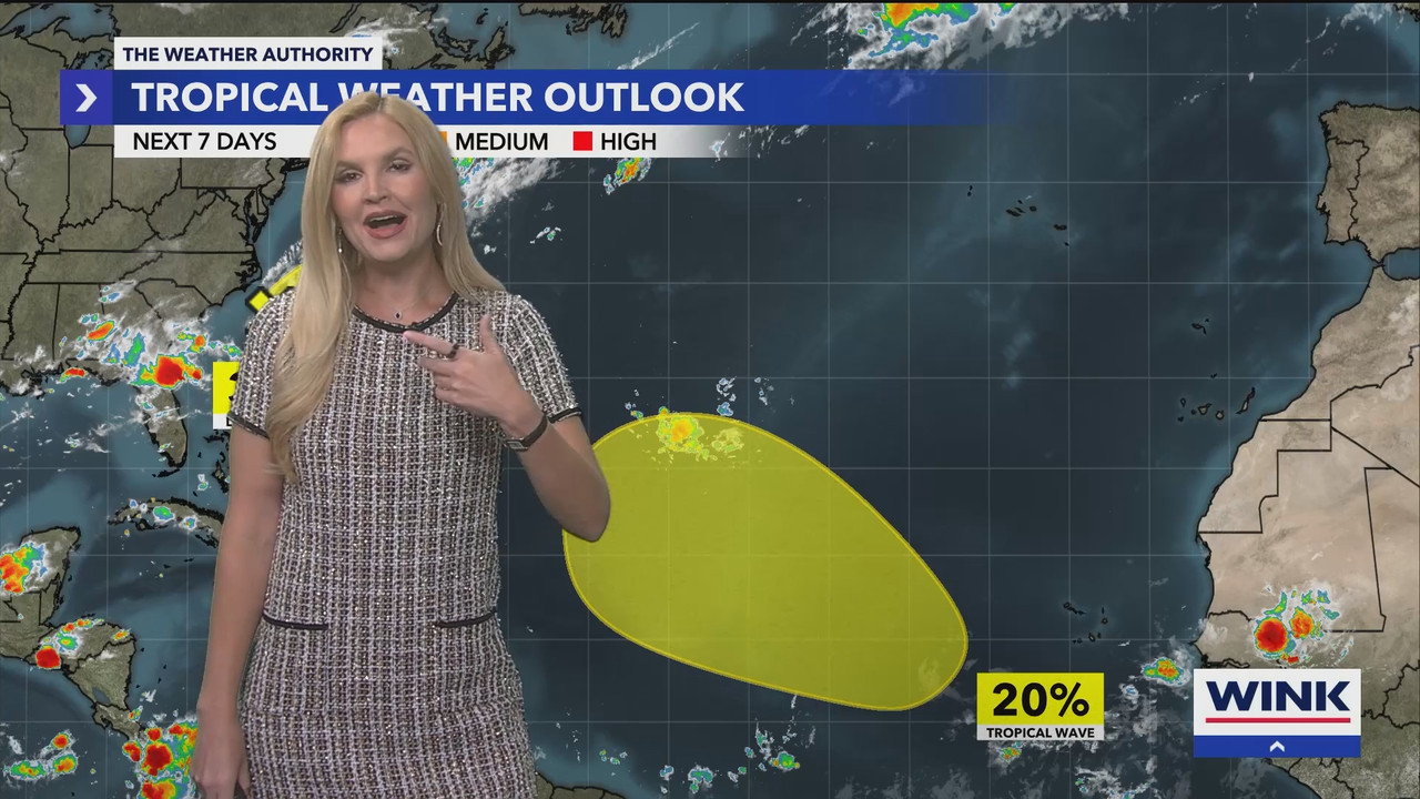 WINK News at 11_20250803_04000500.ts_snapshot_00.16.51.712