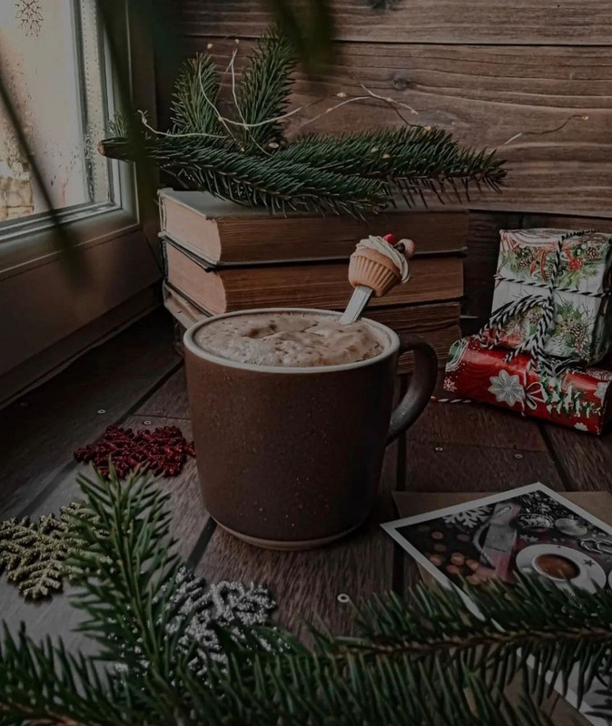 Screenshot_20231210_165259_Instagram