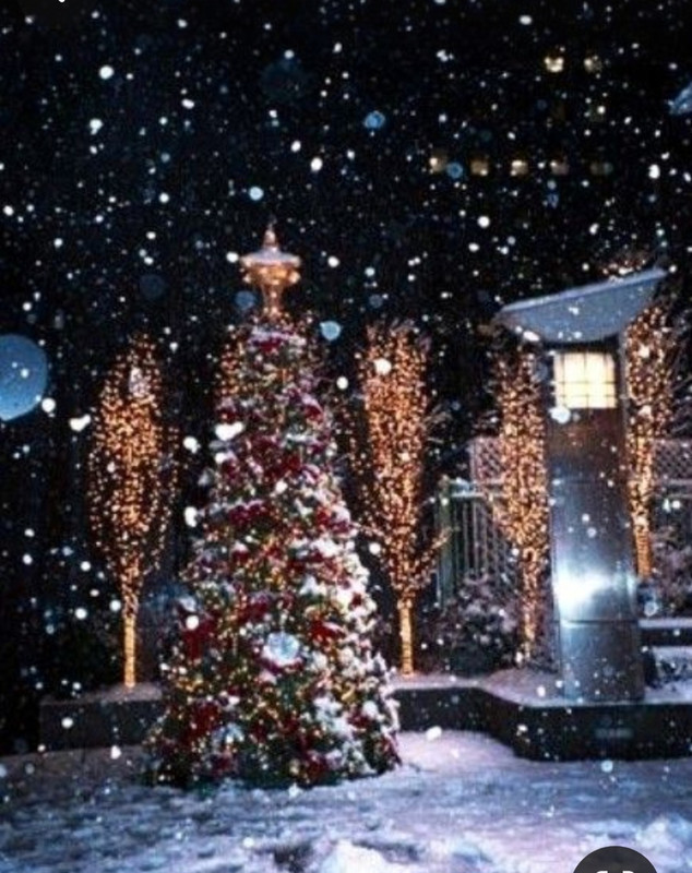 Screenshot_20231124_220240_Pinterest