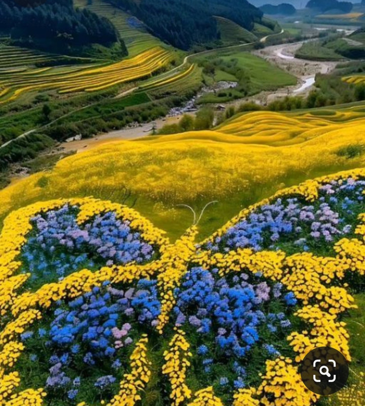 Screenshot_20240512_131026_Pinterest