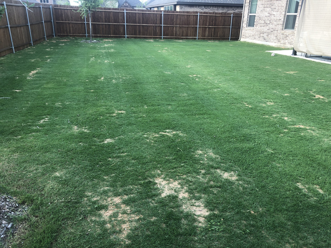 57CA3394-8A90-4632-9F73-3B22A4CEF469