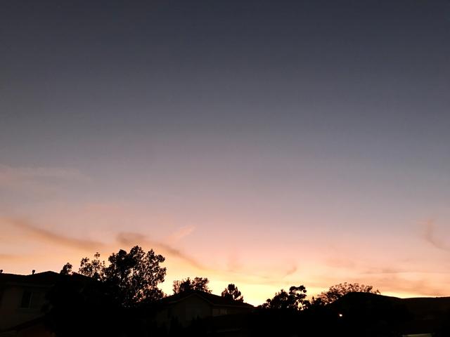[Image: 0-ED078-B7-D7-FC-488-C-AD2-D-027-D391229-DD.jpg]