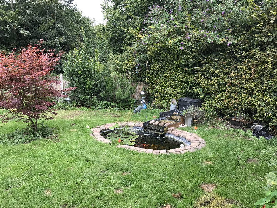 A4B63999-3B37-40C9-A888-CA004DA0121F