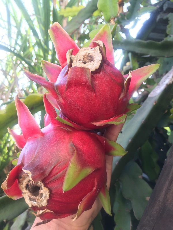 B666941A-4A31-43E5-936F-47DFDA31A6E0