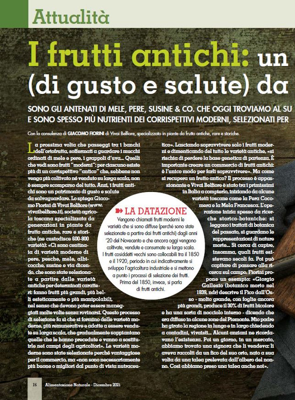 Alim Nat Dic 2021 (1)