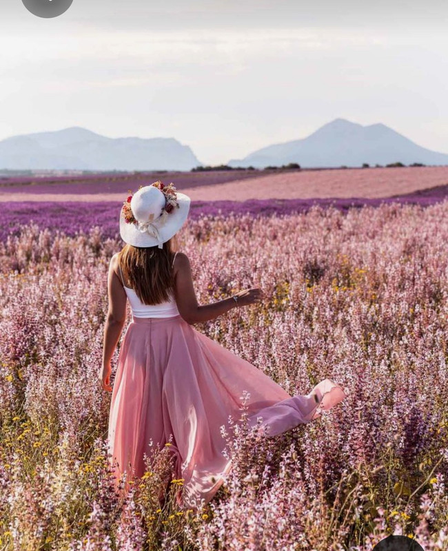 Screenshot_20230527_220201_Pinterest