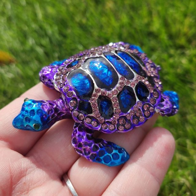 blue-turtle.jpg