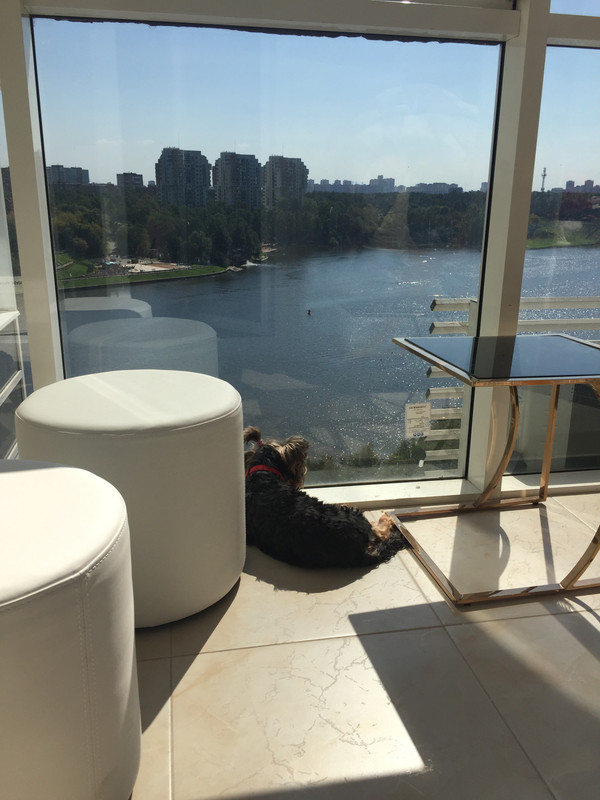 95BFD778-9949-4A91-B0DF-CBE6964A218B