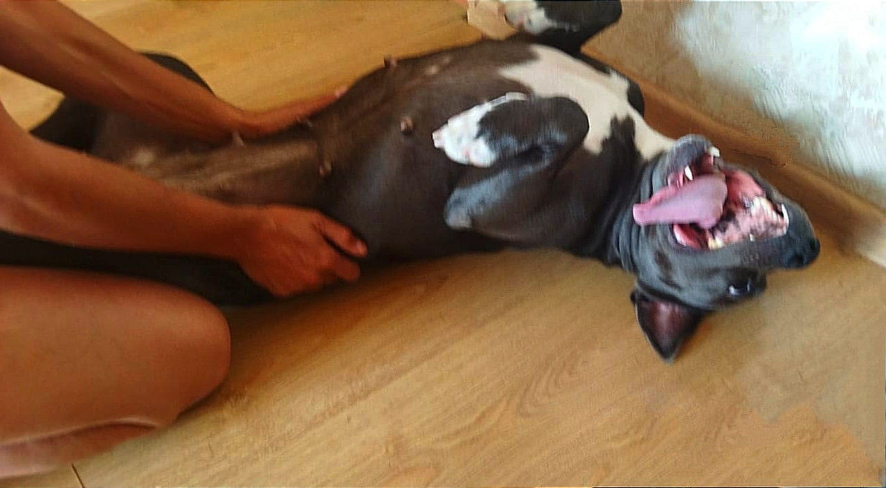 72A88ED5-31DF-4DA9-A9F2-A35081F44407