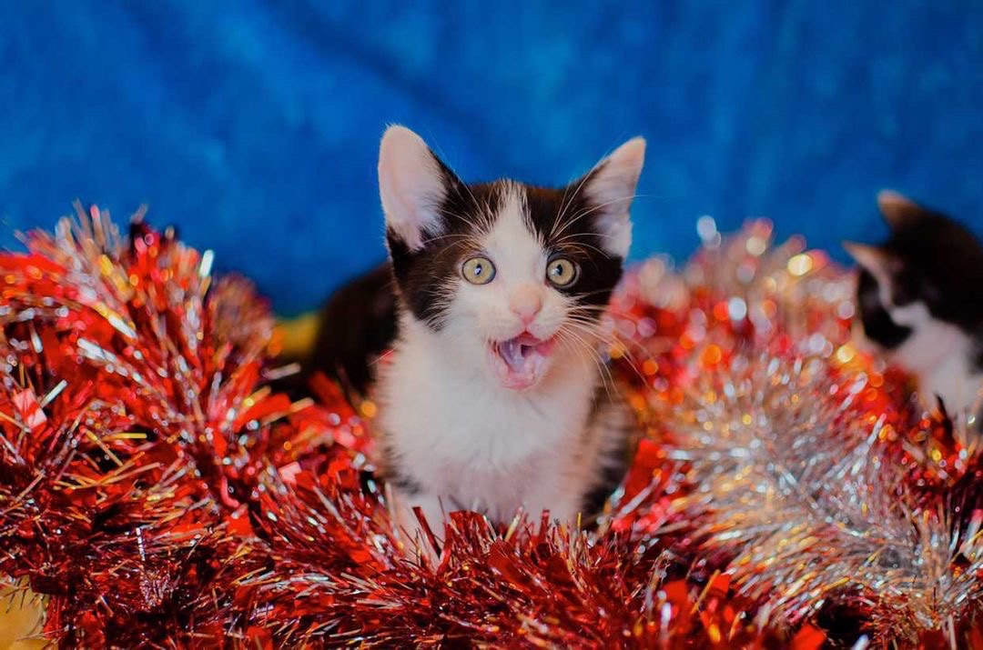 A9DC3861-7D42-4C17-BE5F-86D81C002AC0