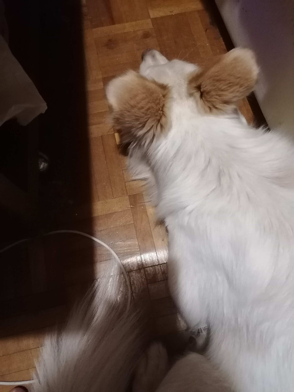 277870269_503630824686615_4131348596167990284_n