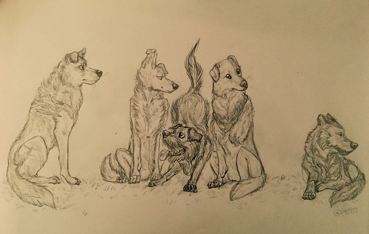 39F3D94F-172E-4DA8-835F-6583E5FD530E